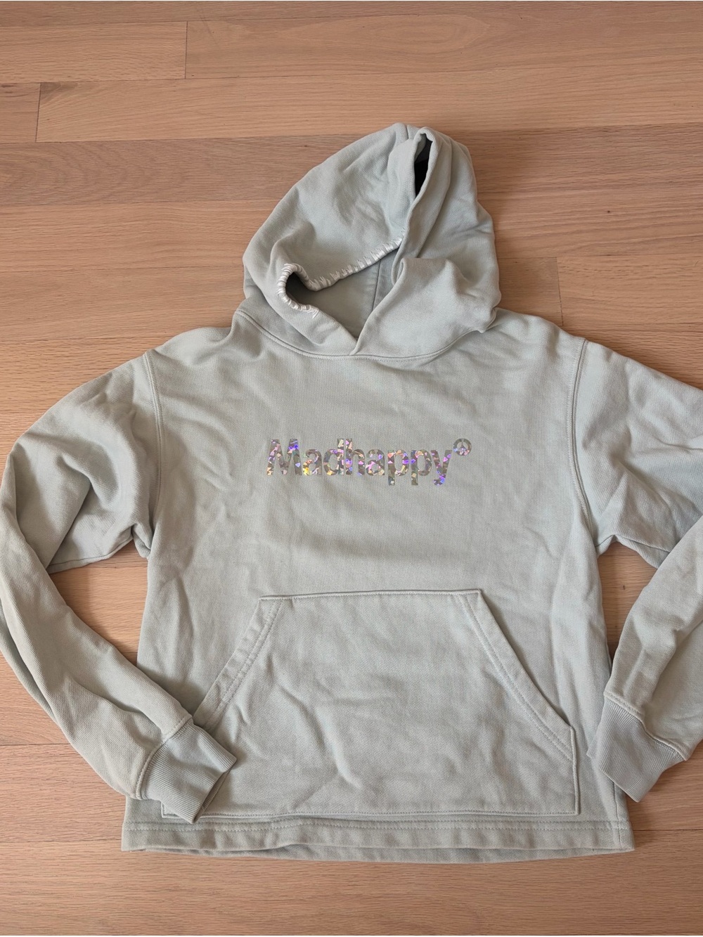 Madhappy Reflective Hoodie in Pale Green size XS